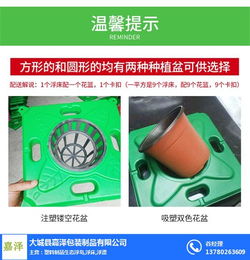 嘉澤包裝制品公司 人工生態浮島技術開發與在線咨詢服務